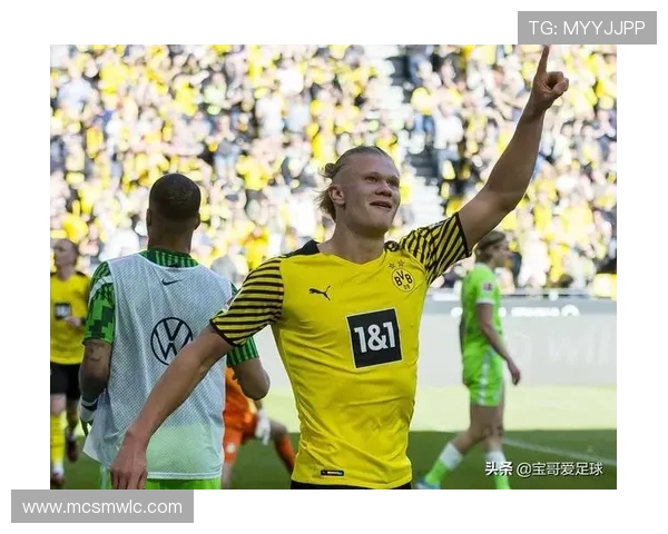 最新德甲球队实力评分表公布，谁是2025赛季最强队伍？